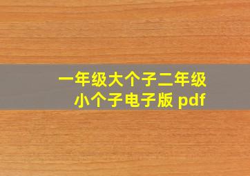 一年级大个子二年级小个子电子版 pdf